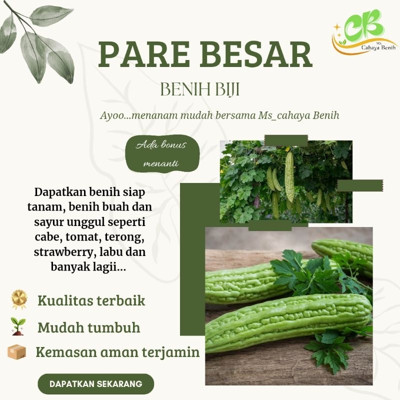 Benih biji pare/paria isi paket (100gram), Bibit pare/peria