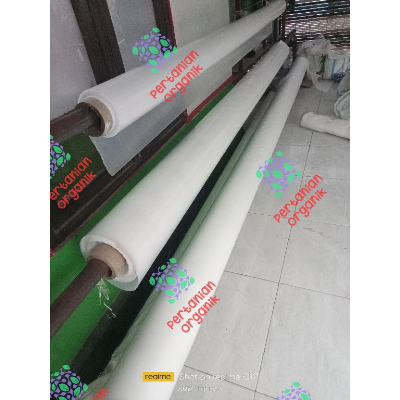 Plastik UV Lebar 6 meter Tebal 200 Mikron Panjang 100 Meter