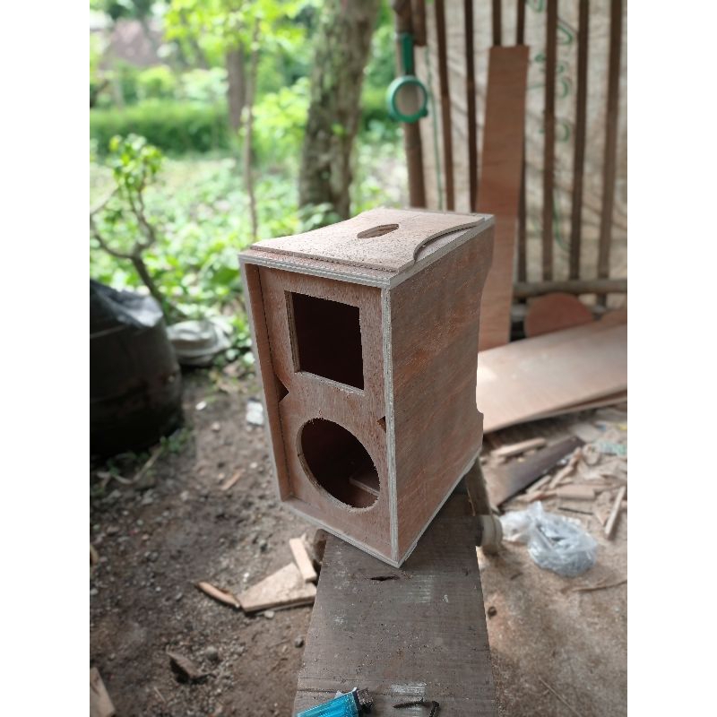 box line array 10 in singgel tweeter 15*19