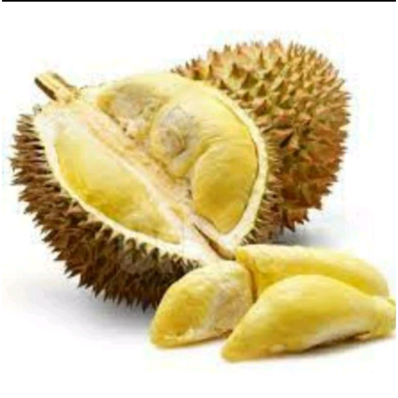 

DURIAN SUPER MANIS