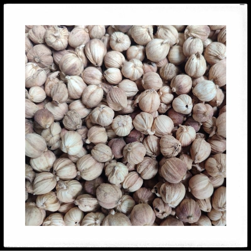 

KAPULAGA KERING 100 GRAM