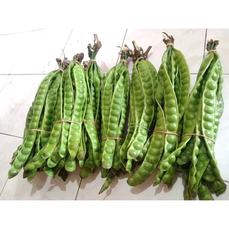 

Pete tua 20 papan