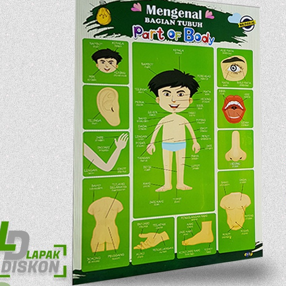 

Promo Murah Poster Mengenal Anggota Tubuh | Poster Pendidikan | Poster Mengenal Anggota Tubuh Ukuran : 32 x 48 cm Bahan : Duplex 310 gr