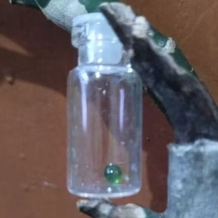 Batu mustika lumut ijo sir alam asli temuan sepuh kuno antik pusaka