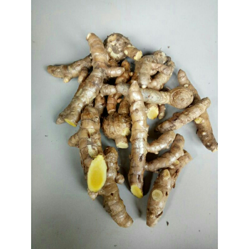 

Temu giring /Temu kuning segar 1kg Curcuma heyneana 100% organik