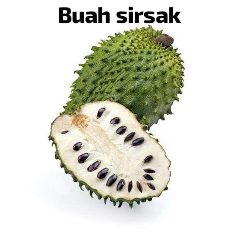 

buah sirsak berat -+1kg