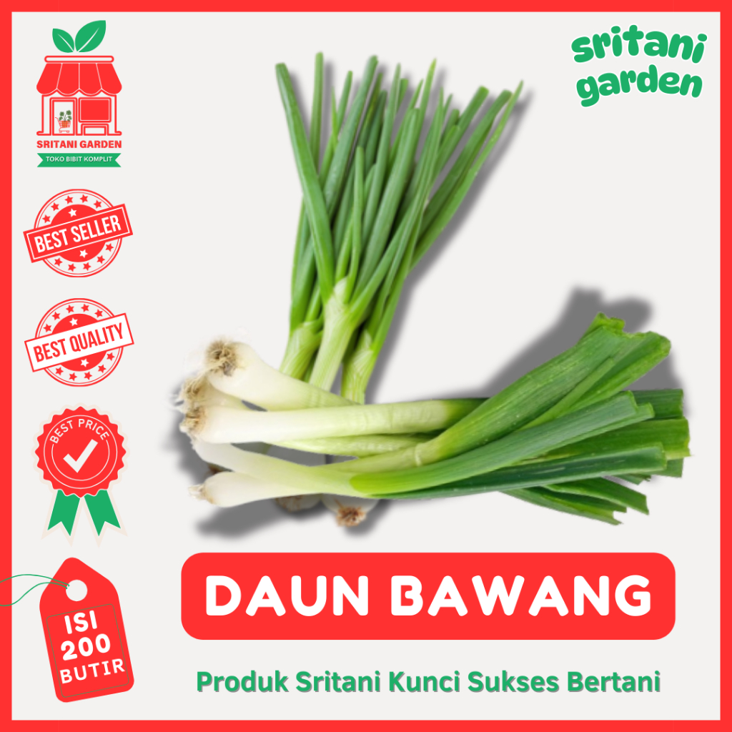 Benih Daun Bawang 200 Butir Prei Tokita Best Seller - Sritani garden