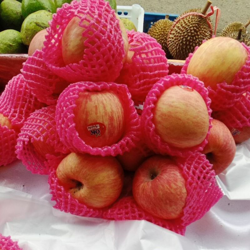 

Apel Fuji Fresh Fruit