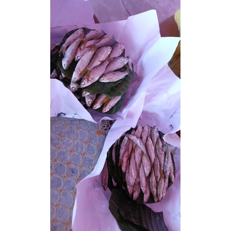 Ikan Bilis