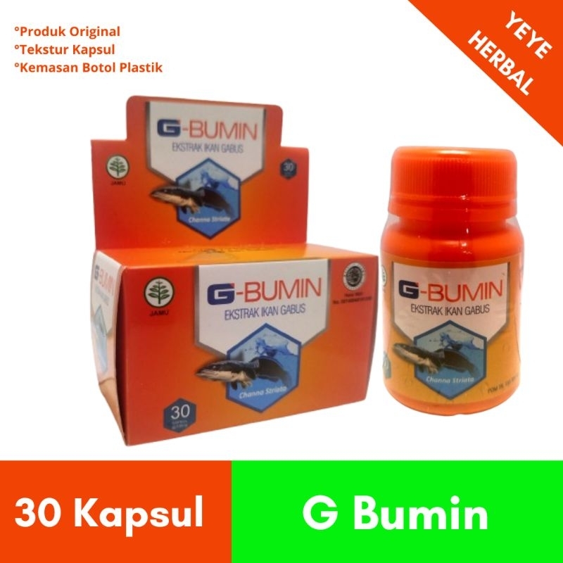 Kapsul G Bumin Ekstrak Ikan Gabus
