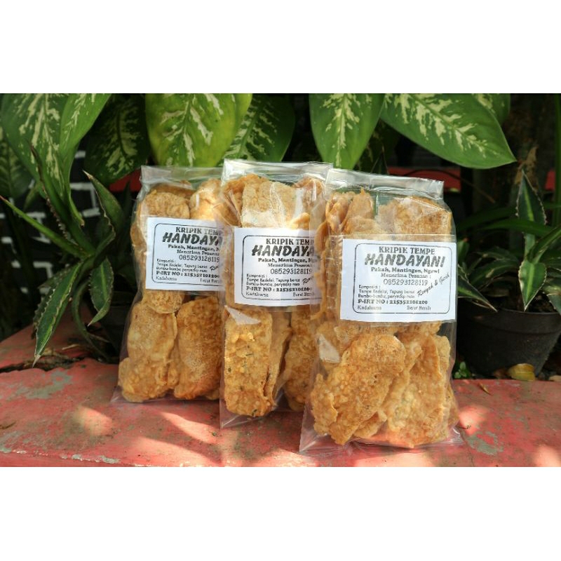 

Keripik Tempe "HANDAYANI" 250 gr