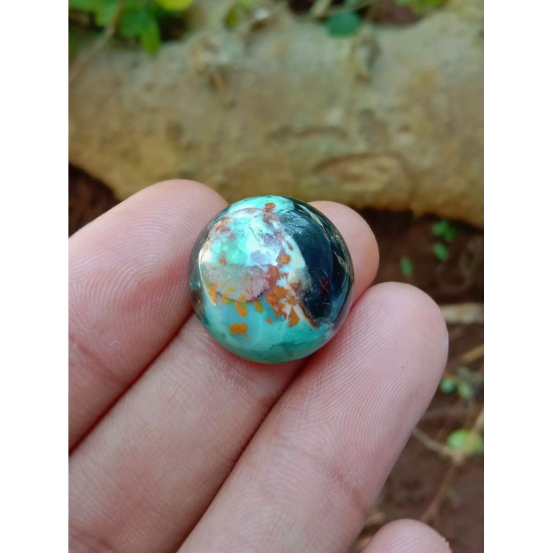 pancawarna Kiara payung mercab