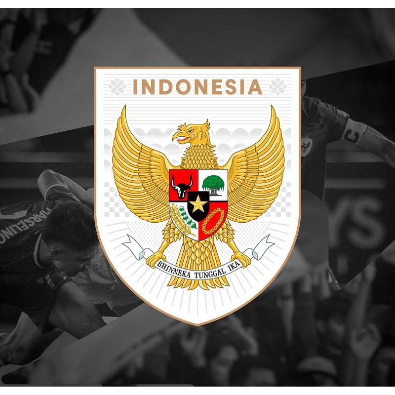 NEW LOGO GARUDA 2025 UNTUK JERSEY TIMNAS INDONESIA BARU 2025 ERSPO LOGO GARUDA PRINTING HD DTF