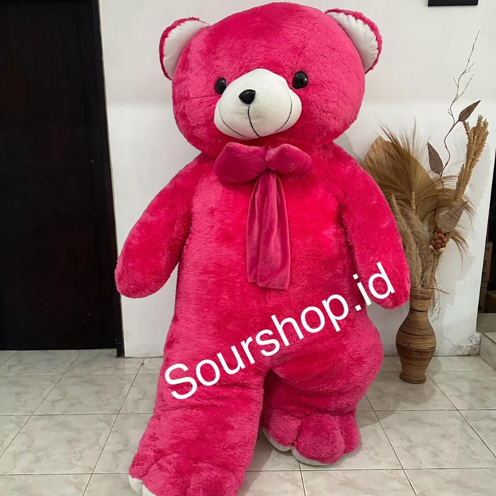 Boneka Bear Jumbo 2 Meter | Boneka Bear Giant