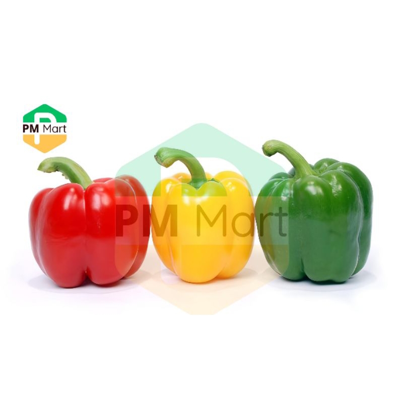 

Paprika Merah Paprika Kuning Paprika Hijau