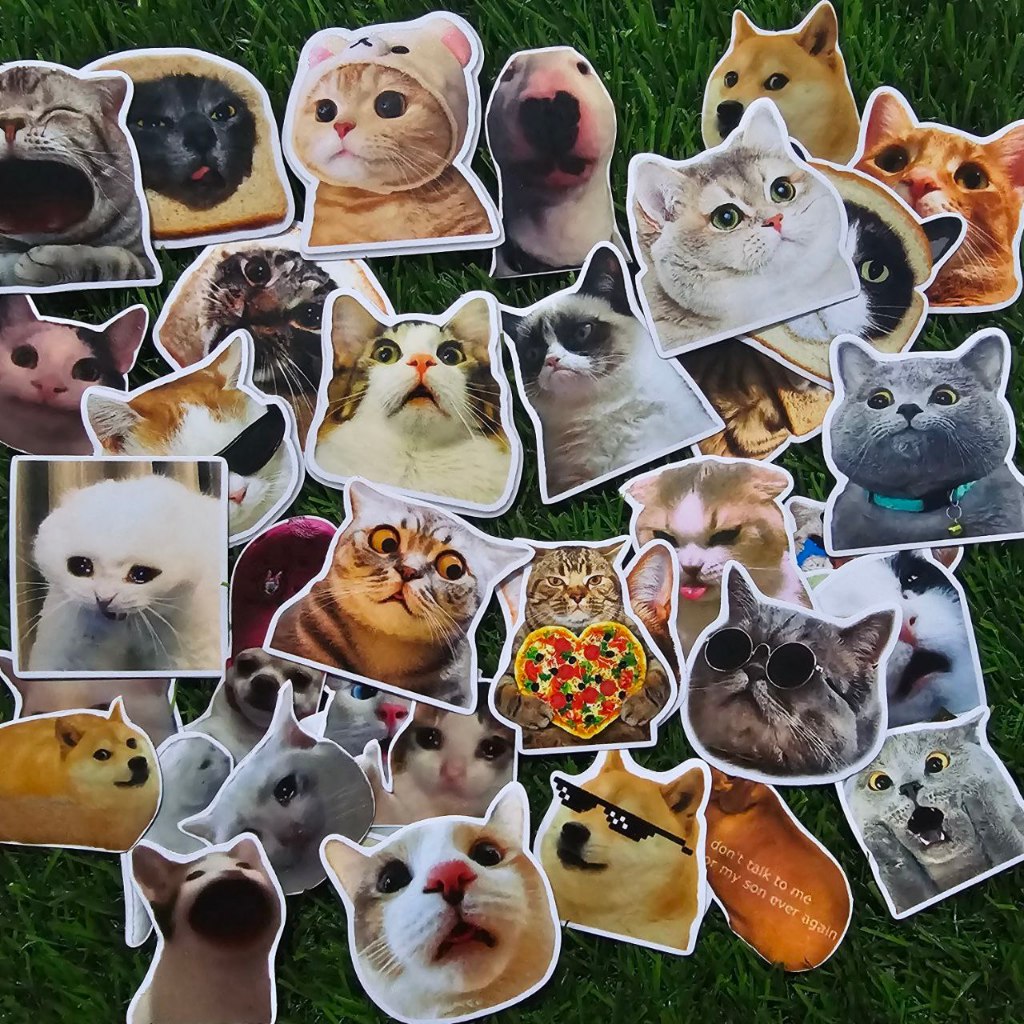 

37 pcs stiker meme kucing sudah di potong die cut sticker pack meme kucing lucu