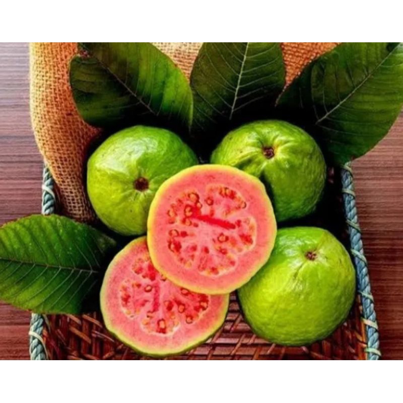 

Jambu biji merah 1 kg