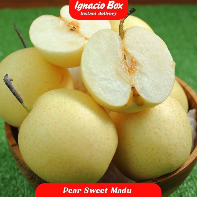

Buah Pir Segar Pear Madu Sweet Pear 1kg IgnacioBox