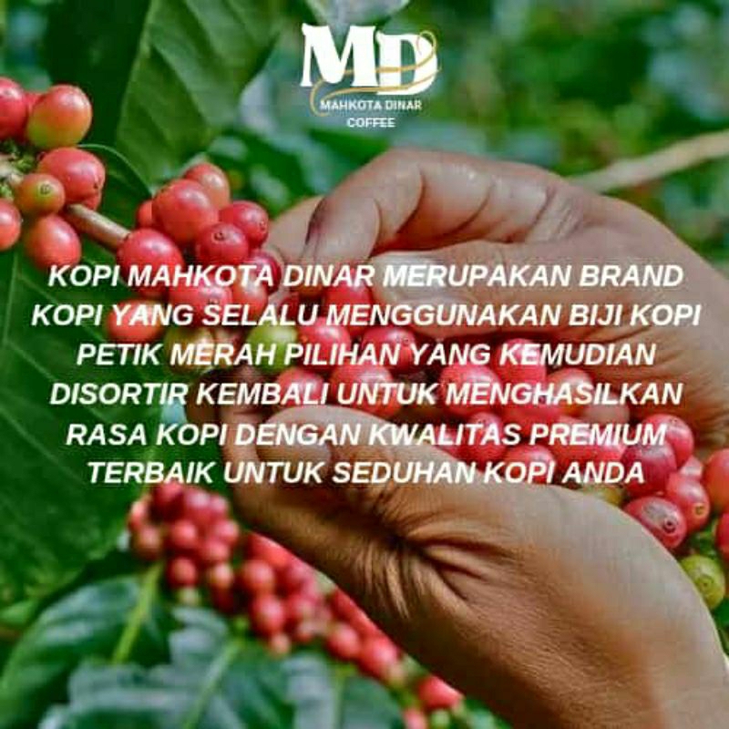 

MD COFFEE ROBUSTA Premium Lampung