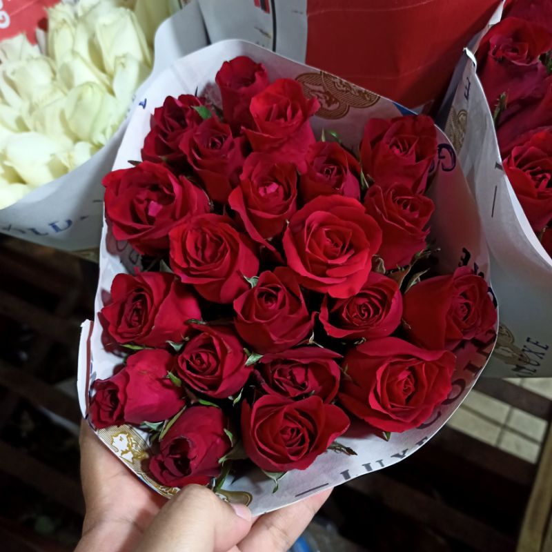 20 tangkai bunga segar mawar malang / fresh roses from Malang / bunga asli