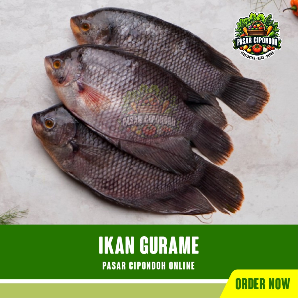 

Ikan Gurame Gurameh Gurami Mentah Segar 1 kg - Pasar Cipondoh Tangerang