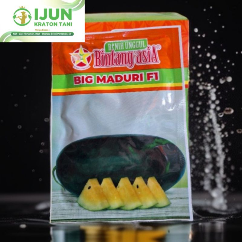 BIG MADURI BENIH SEMANGKA INUL