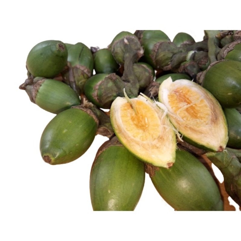 

Buah pinag muda /bauh pinag 1kg