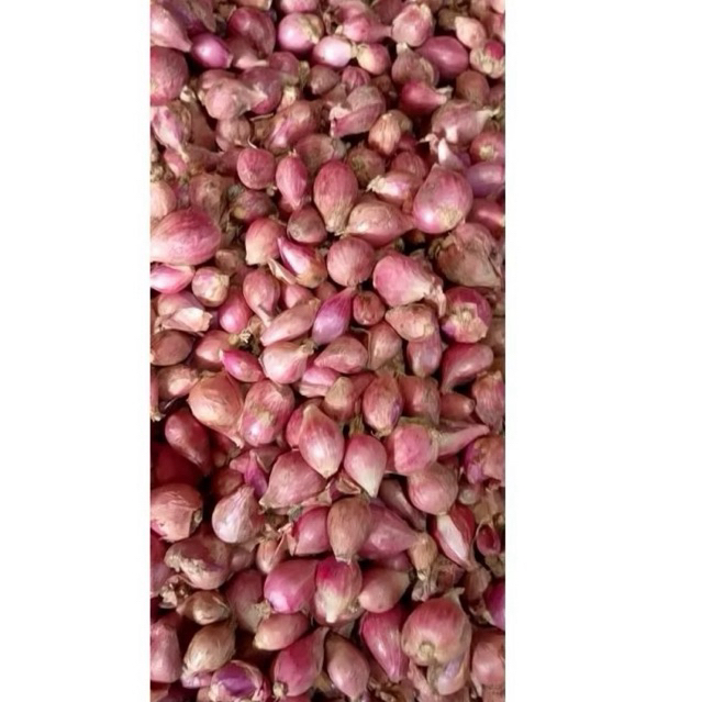 

Bawang Merah murah 1kg ukuran kecil