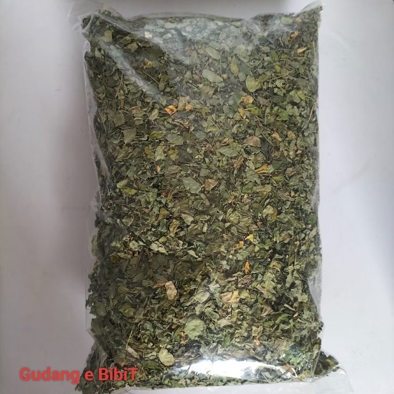 

Daun Kelor Kering Murah Bermanfaat