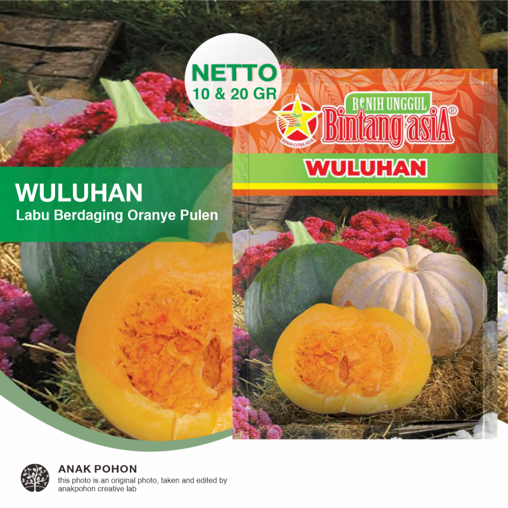 (1 PACK) Benih Labu WULUHAN Labu Kuning Berdaging Oranye Pulen Legit Manis Seeds - BINTANG ASIA