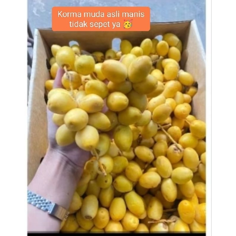 

korma muda per l kg buah