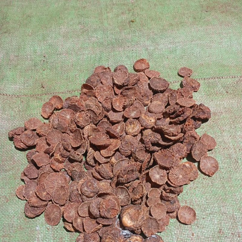 

Pinang Iris Muda/Kreting 1kg Rp.50000