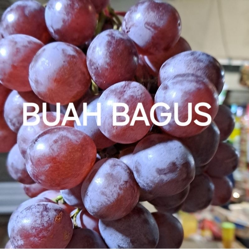 

Anggur 500gr