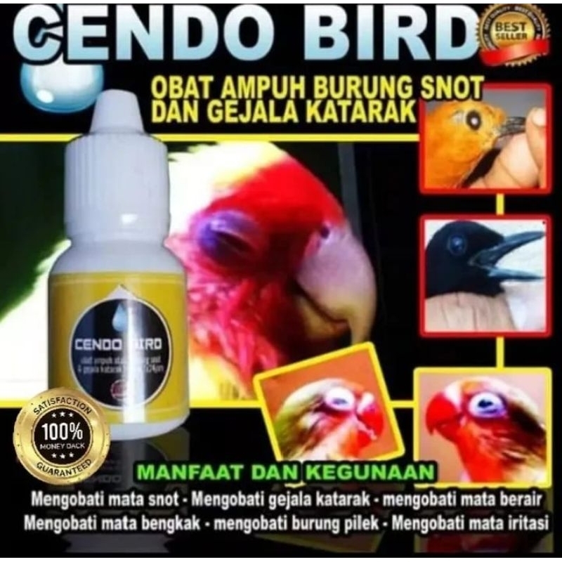 Cendo Bird Obat Burung Sakit Mata Katarak Berlendir Berair