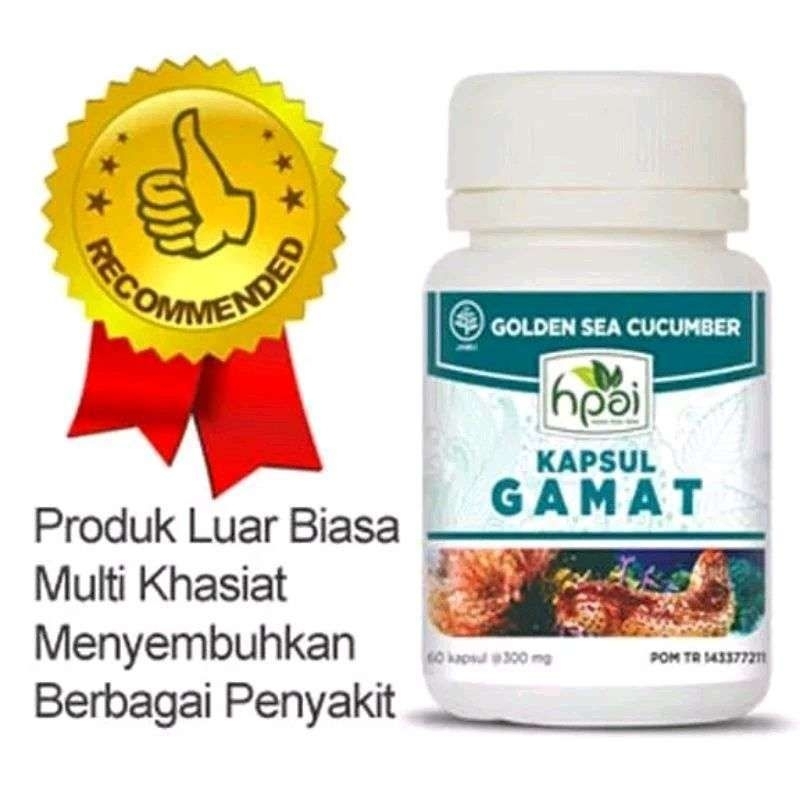 GAMAT KAPSUL HNI HPAI | GAMAT ORIGINAL HNI | TERIPANG EMAS GOLDEN SEA CUCUMBER