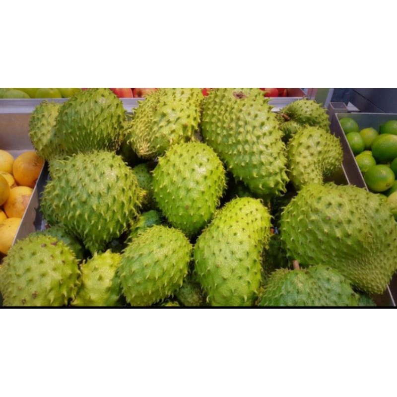 

BUAH SIRSAK FRESH 1KG