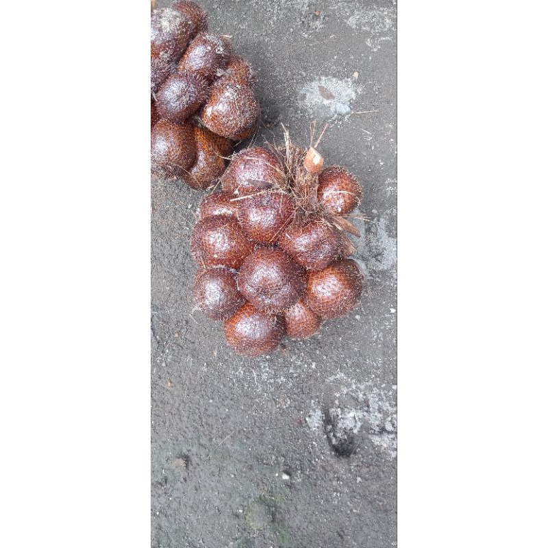 

salak pondoh ukuran kecil 1 kg