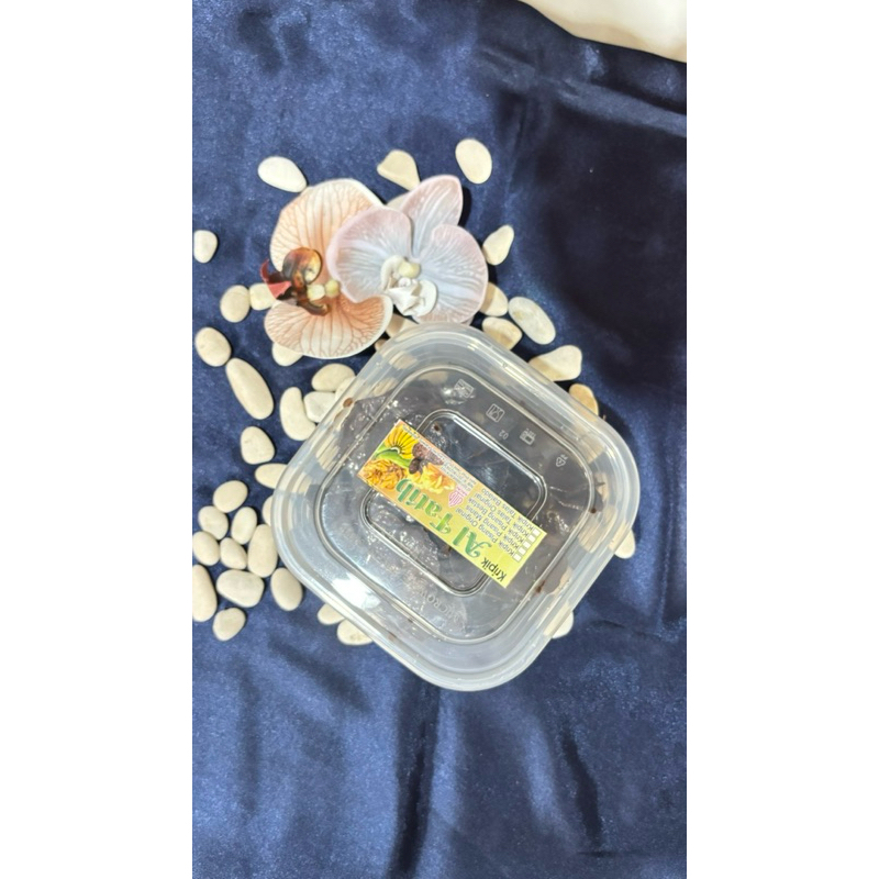 

kriik pisang coklat lumer