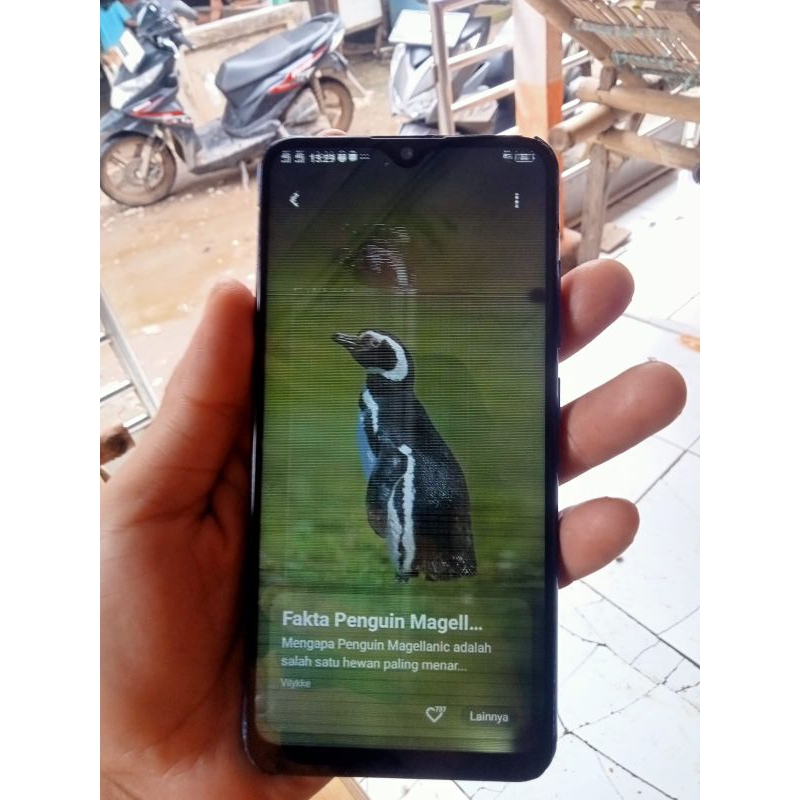 minus lcd Vivo y91 ram3/32