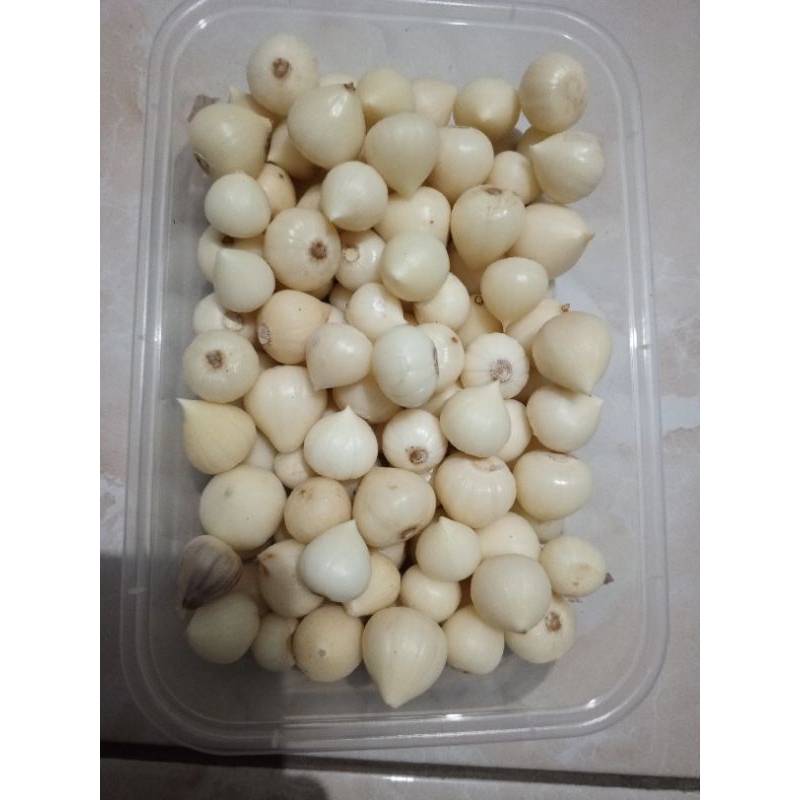 

kupasan ukuran kecil, Bawang Lanang/ Bawang putih tunggal berat 500gr