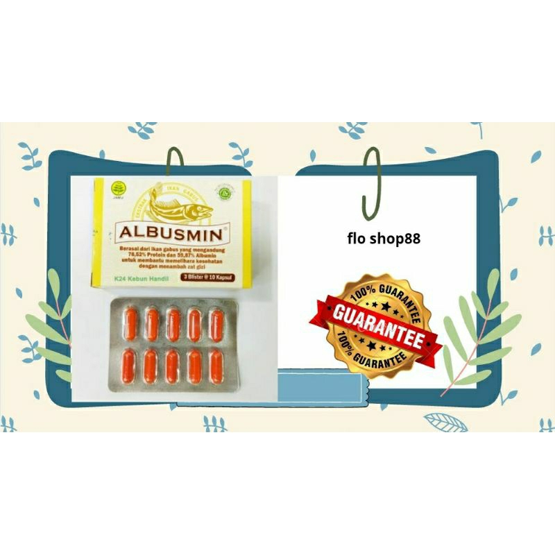 ALBUSMIN / ALBUSMIN IKAN GABUS / ALBUSMIN IKAN GABUS ORIGINAL / ALBUSMIN 3 BLISTER KAPSUL / ALBUSMIN