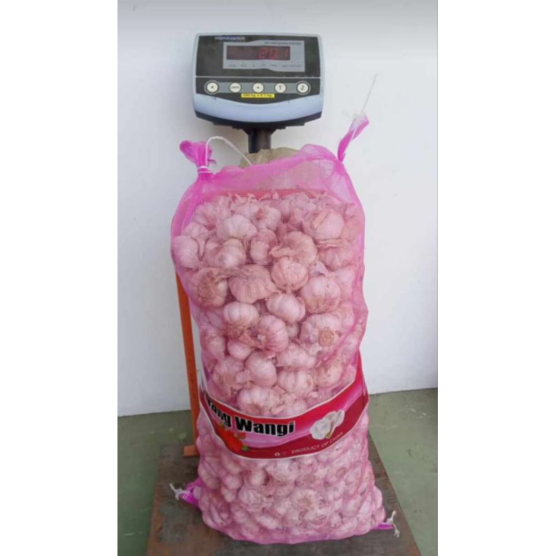 

bawang putih kupasan bersih