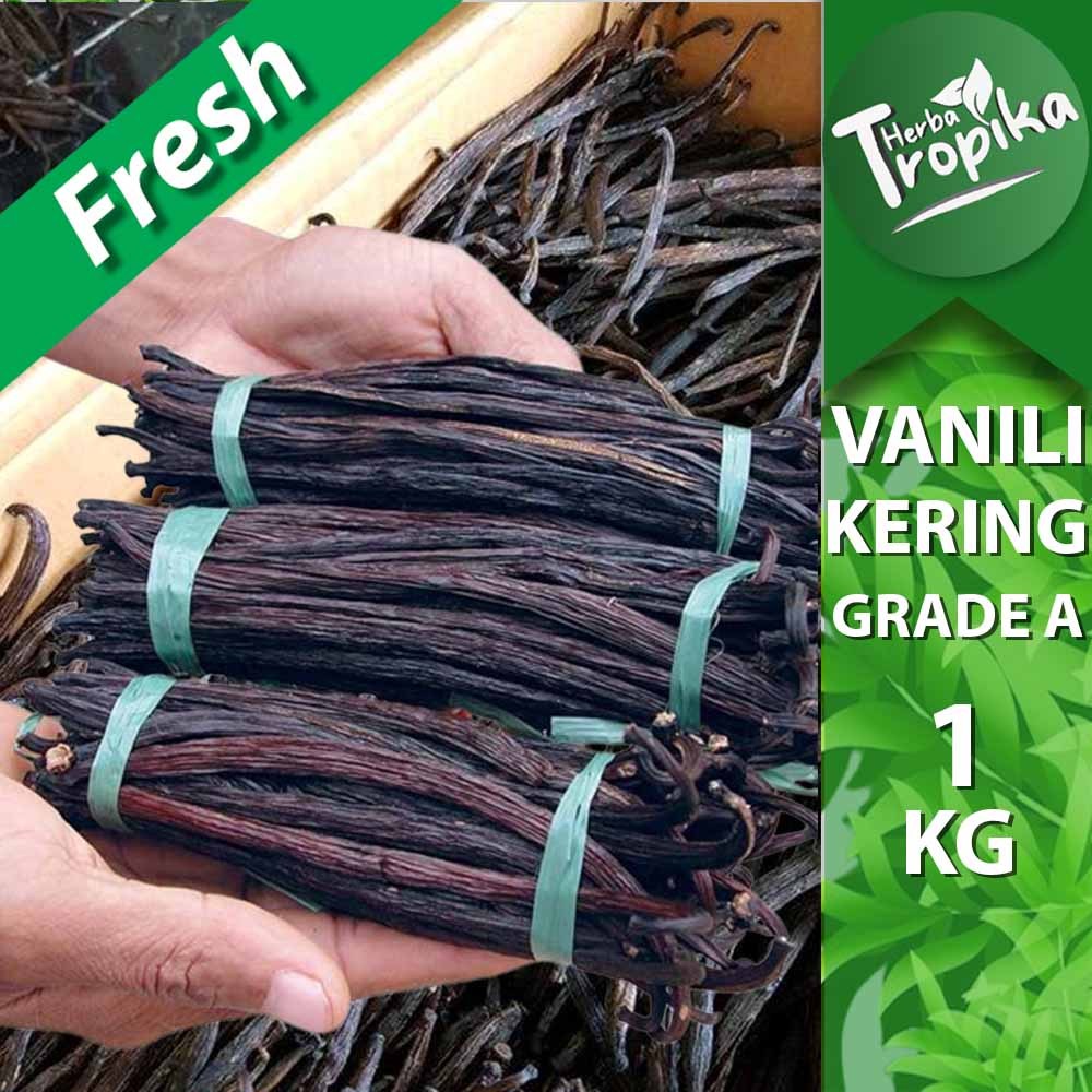 Buah Vanili vanilla bean Kering 1 kg rempah dan herbal alami toko herba tropika