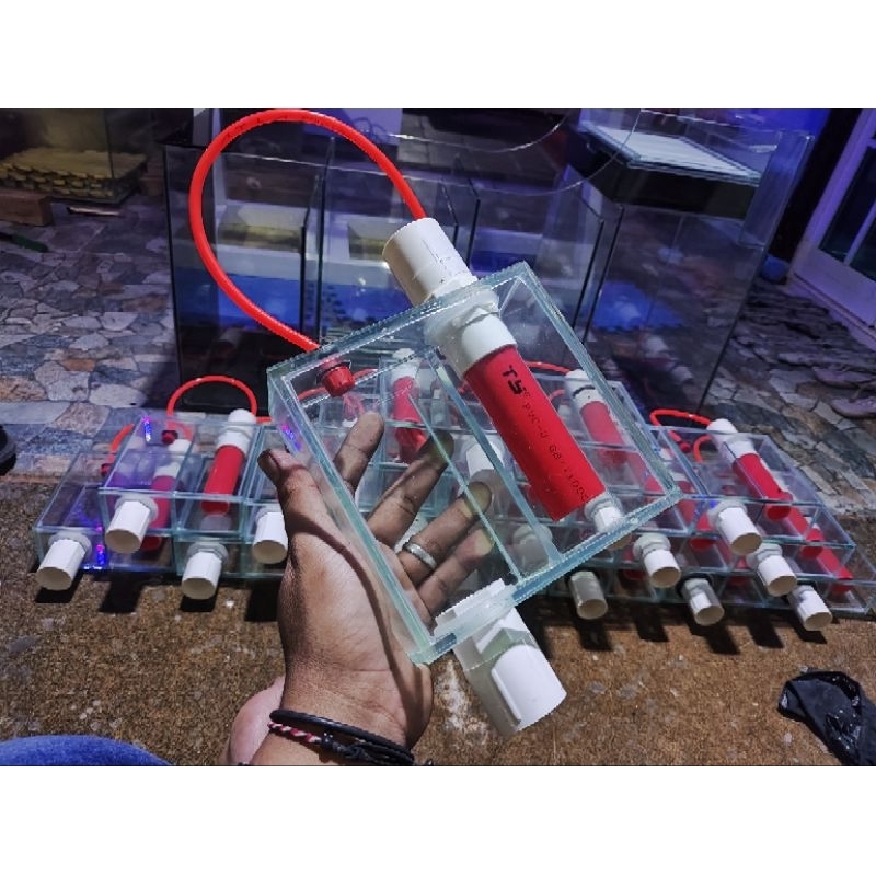 Box Overflow Aquarium Maks 5000lph