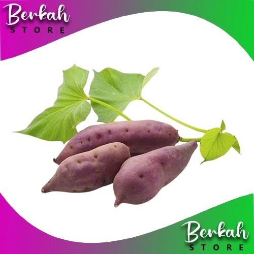 

Paket Kargo Umbi Ubi Jalar Ungu 5 kg fresh kualitas unggul toko berkah STORE