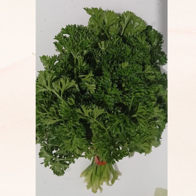 

Parsley (langsung petani dieng) 100gram