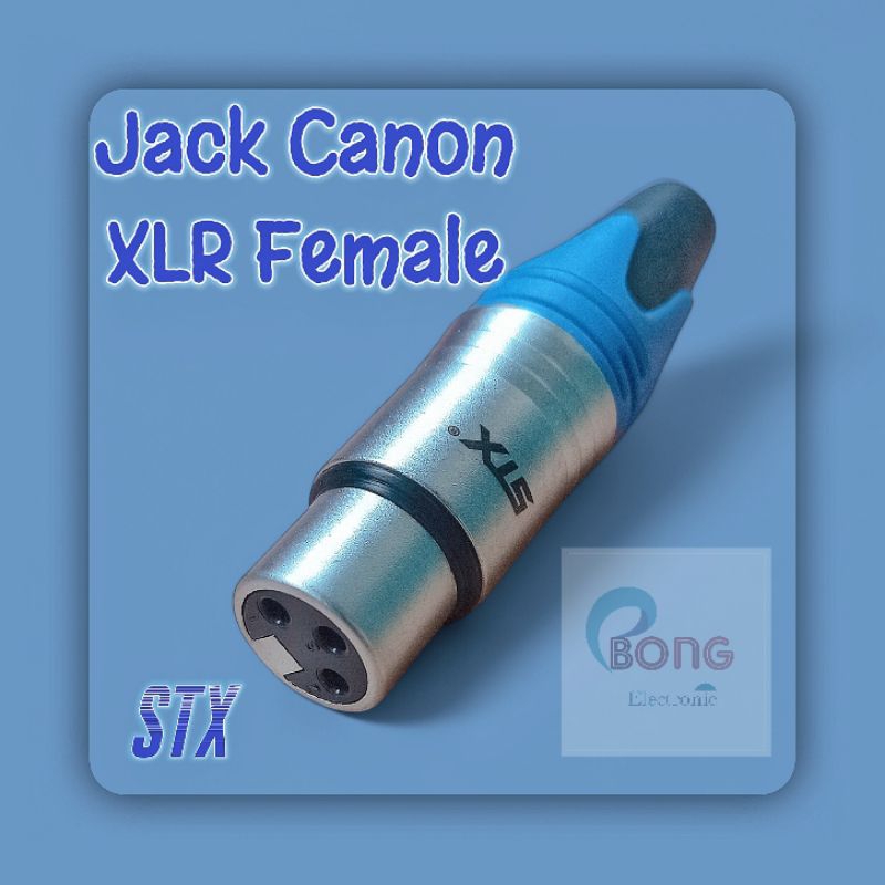 Jack Audio / Mic XLR  Canon Female STX