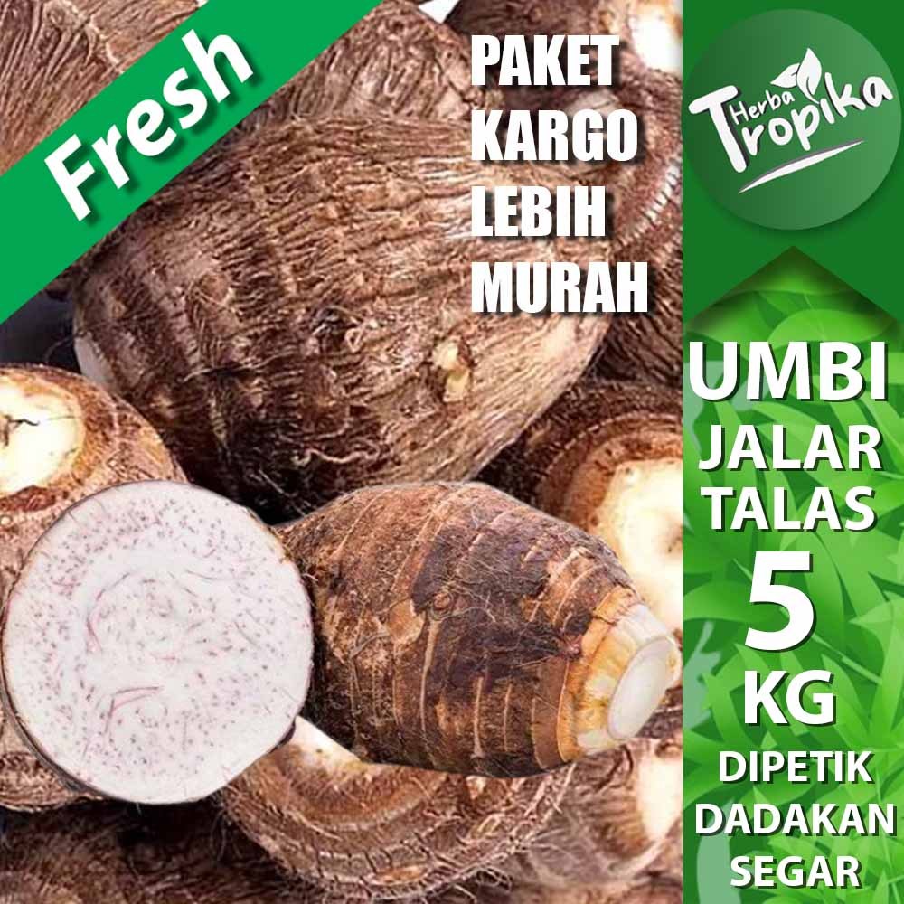 

Paket kargo Umbi Jalar Talas Kimpul 5 kg toko herba tropika