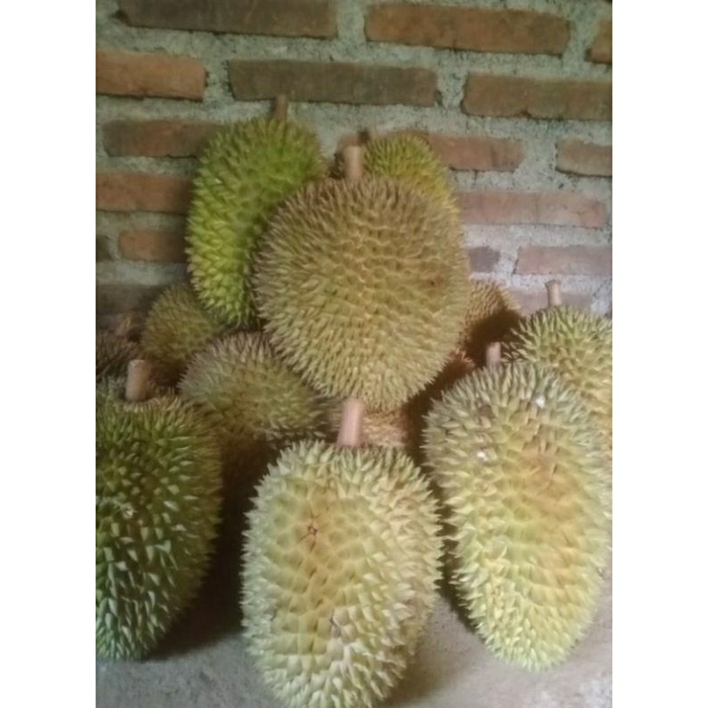 

DURIAN SUPER MANIS