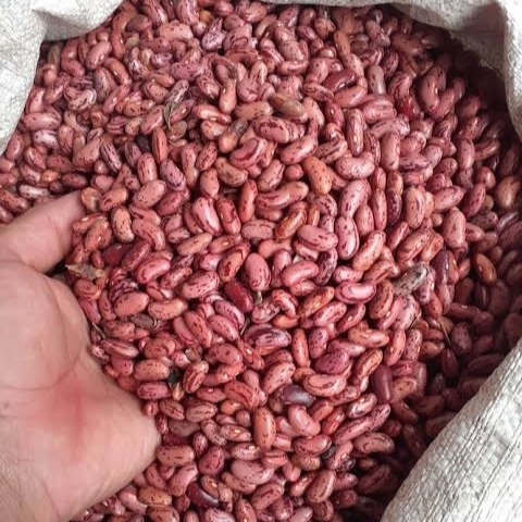 

Kacang Merah 500gr